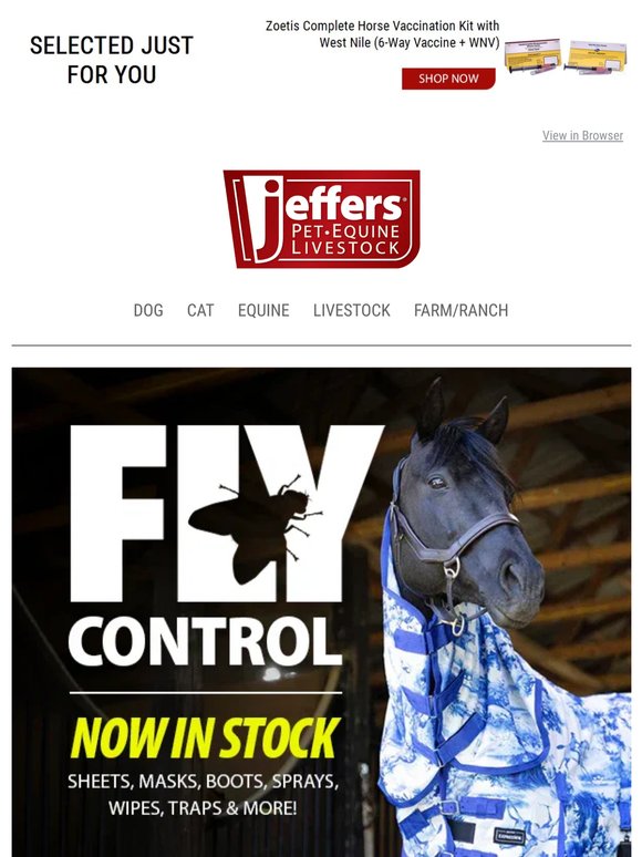 Expression Fly Products are Here!