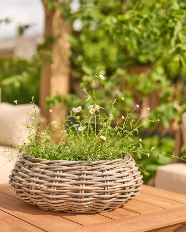 Littleton round basket