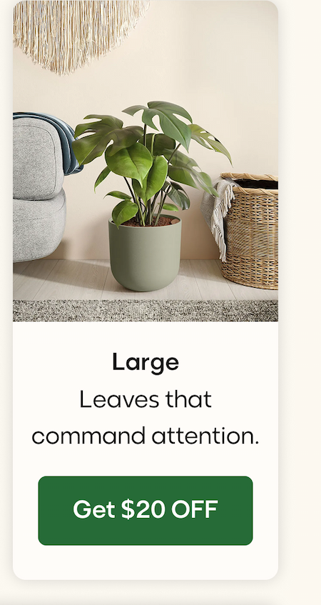 Large