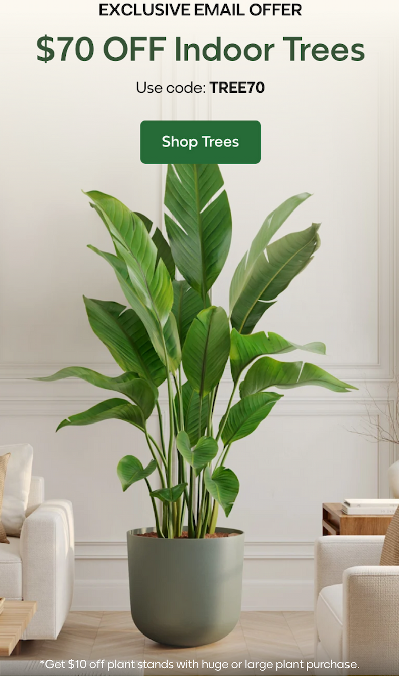$70 OFF Indoor Trees