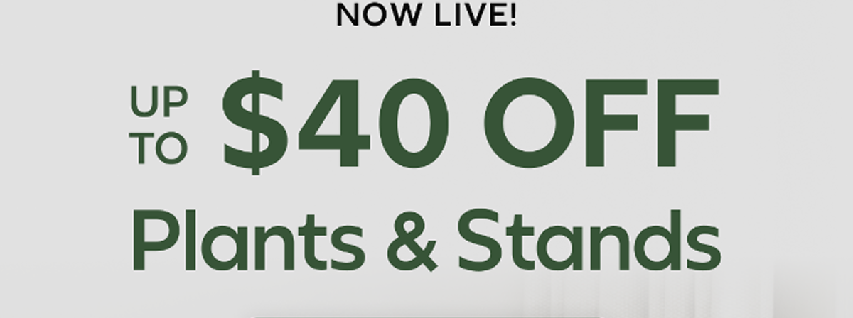 Up to $40 OFF