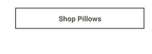 Shop Pillows