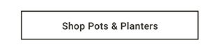 Shop Pots & Planters