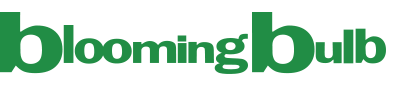 BloomingBulb