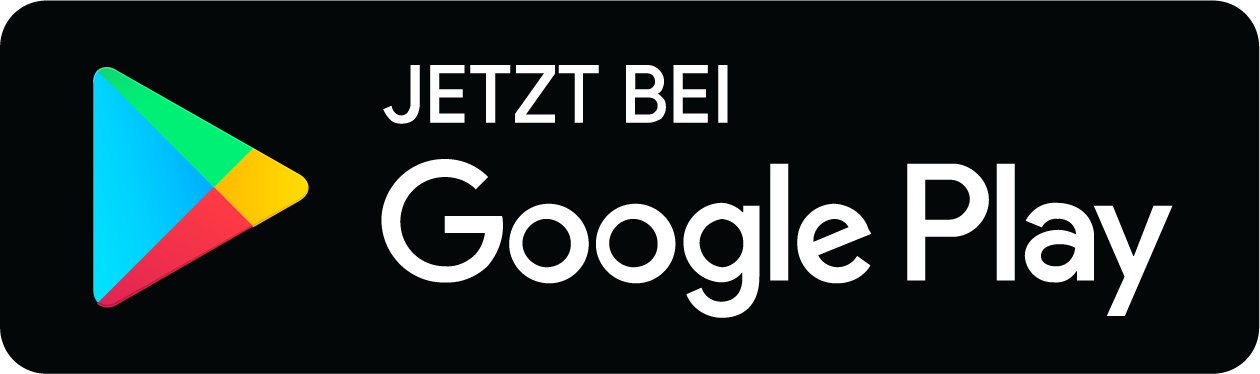 Google Store