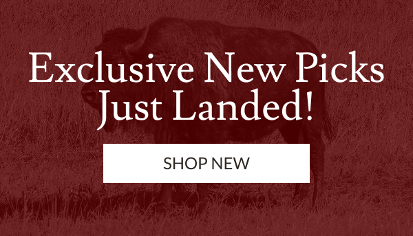 Exclusive New Picks Just Landed! | Shop New