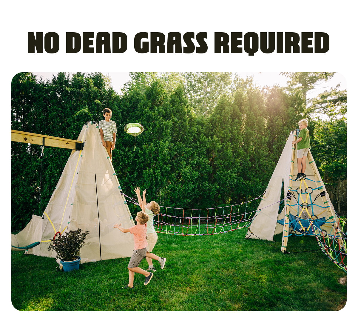 No Dead Grass Required