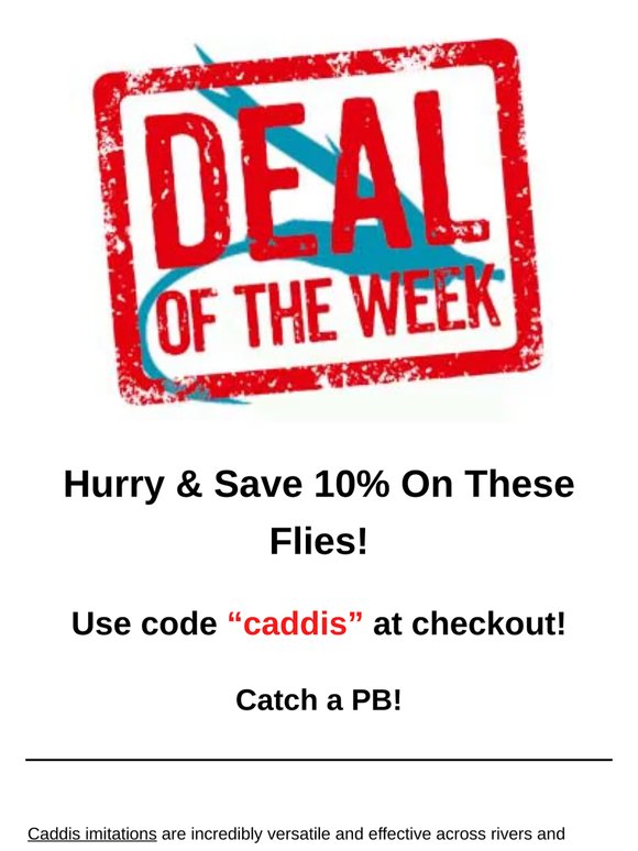Limited Time Offer!