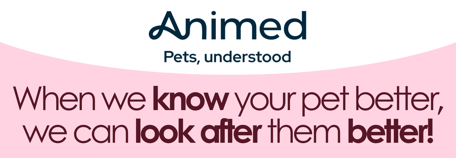 Animed Animed