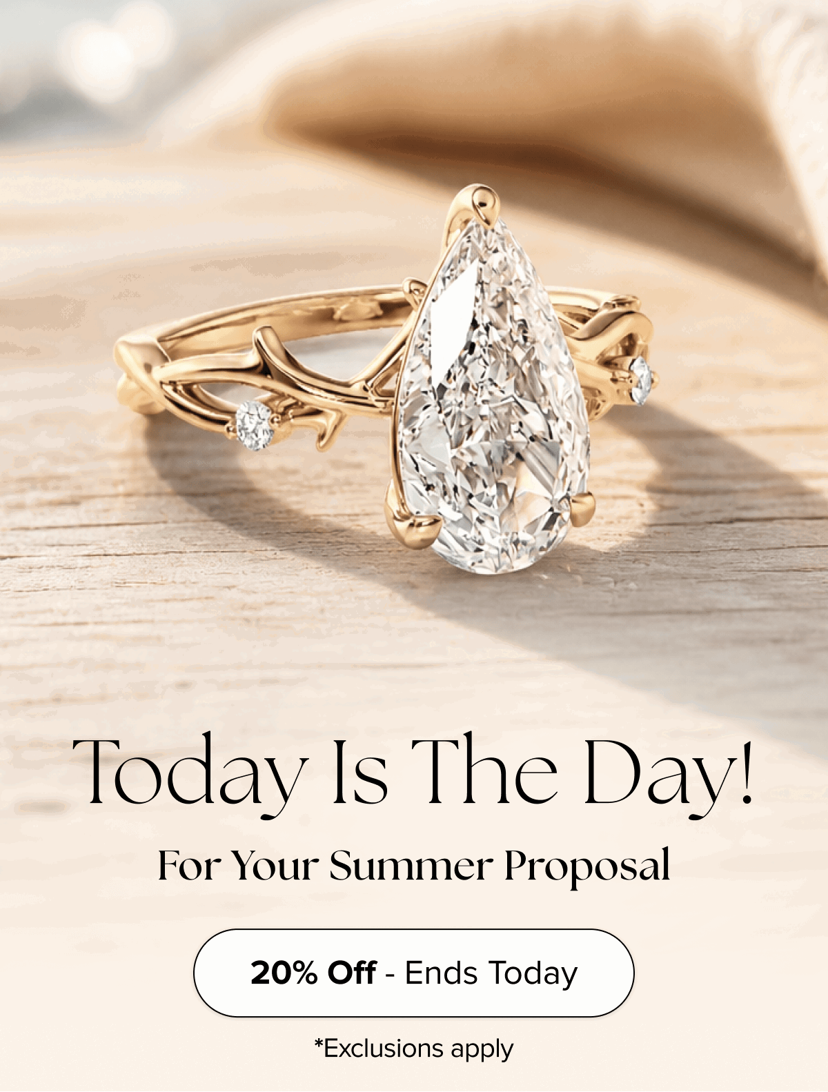 Today is the day for your summer proposal!