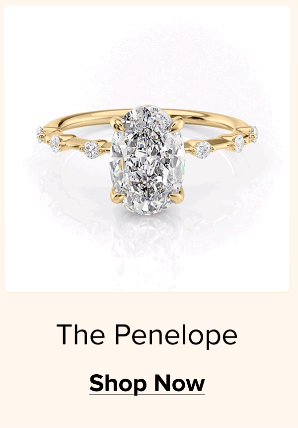 The Penelope