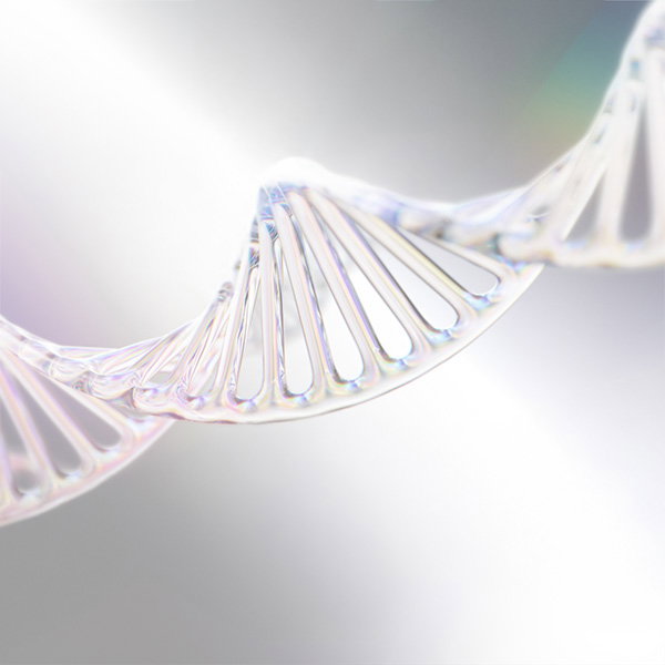 Close-up of a stylised transparent DNA strand structure shown against a soft neutral background.