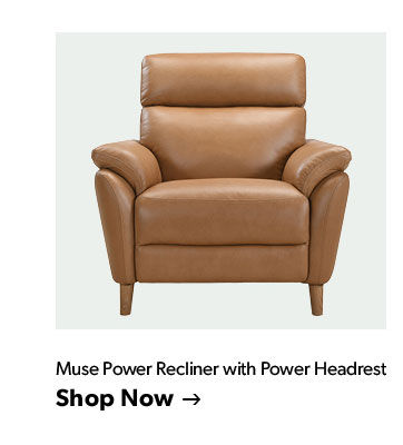 Click to shop the Muse Power Recliner with Power Headrest