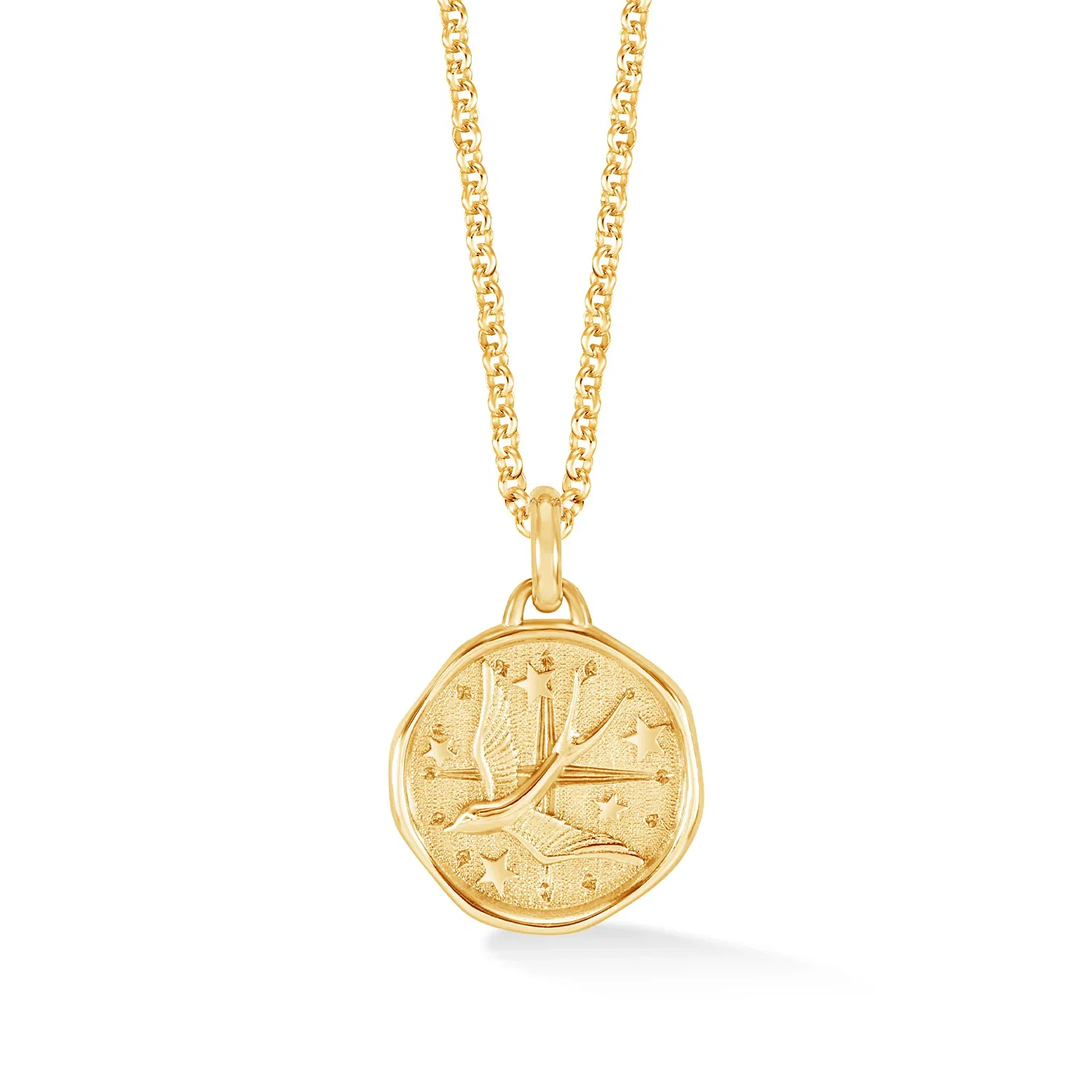Image of Flying Swallow Talisman Necklace