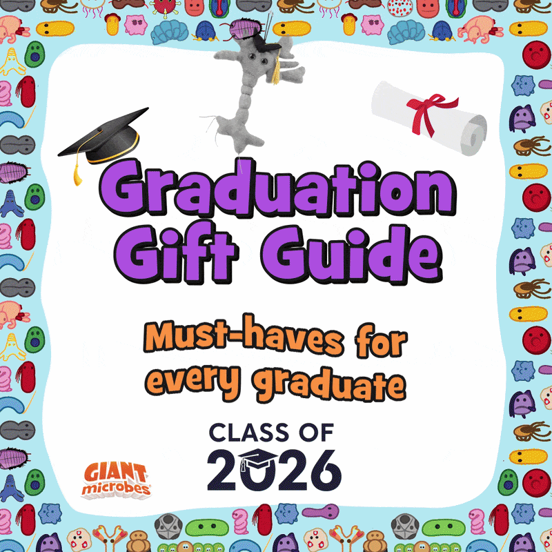 Grad gift guide