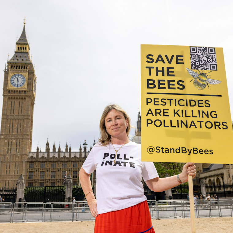 #StandByBees