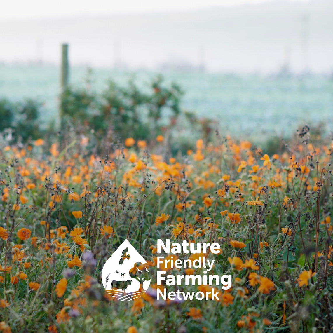 Nature Friendly Farming Network