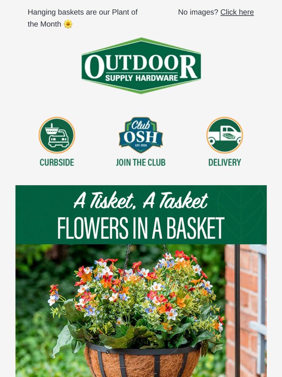 🌼 A tisket, a tasket: Flowers in a basket