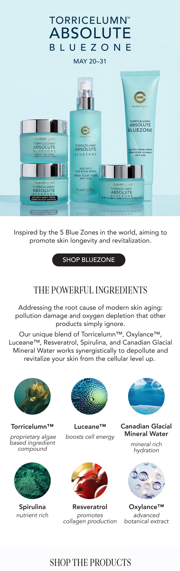 Bluezone Launch