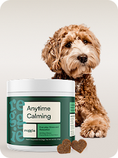 Science-backed, vet-approved Calming Chews