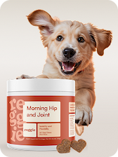 Morning Hip + Joint Chews