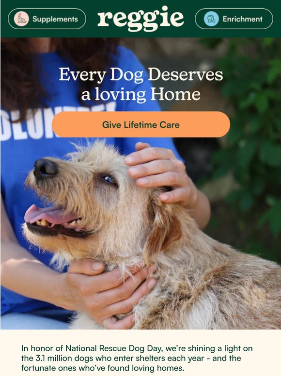 Every Dog Deserves Love & Care❤️