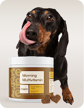 Dog Multivitamin
