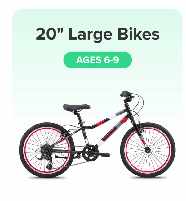 20" Large Bikes