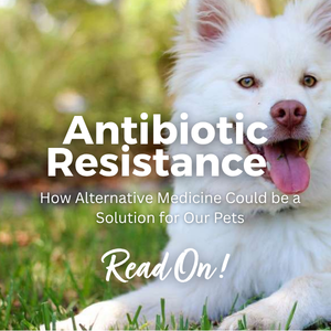 Antibiotic Resistance