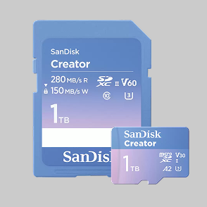 A 1TB SanDisk Creator SD UHS-II Card & a 1TB SanDisk Creator microSD Card, showing their read/write speeds and format specifications.