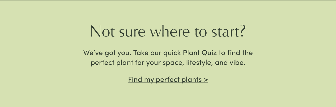 Take our plant quiz! 