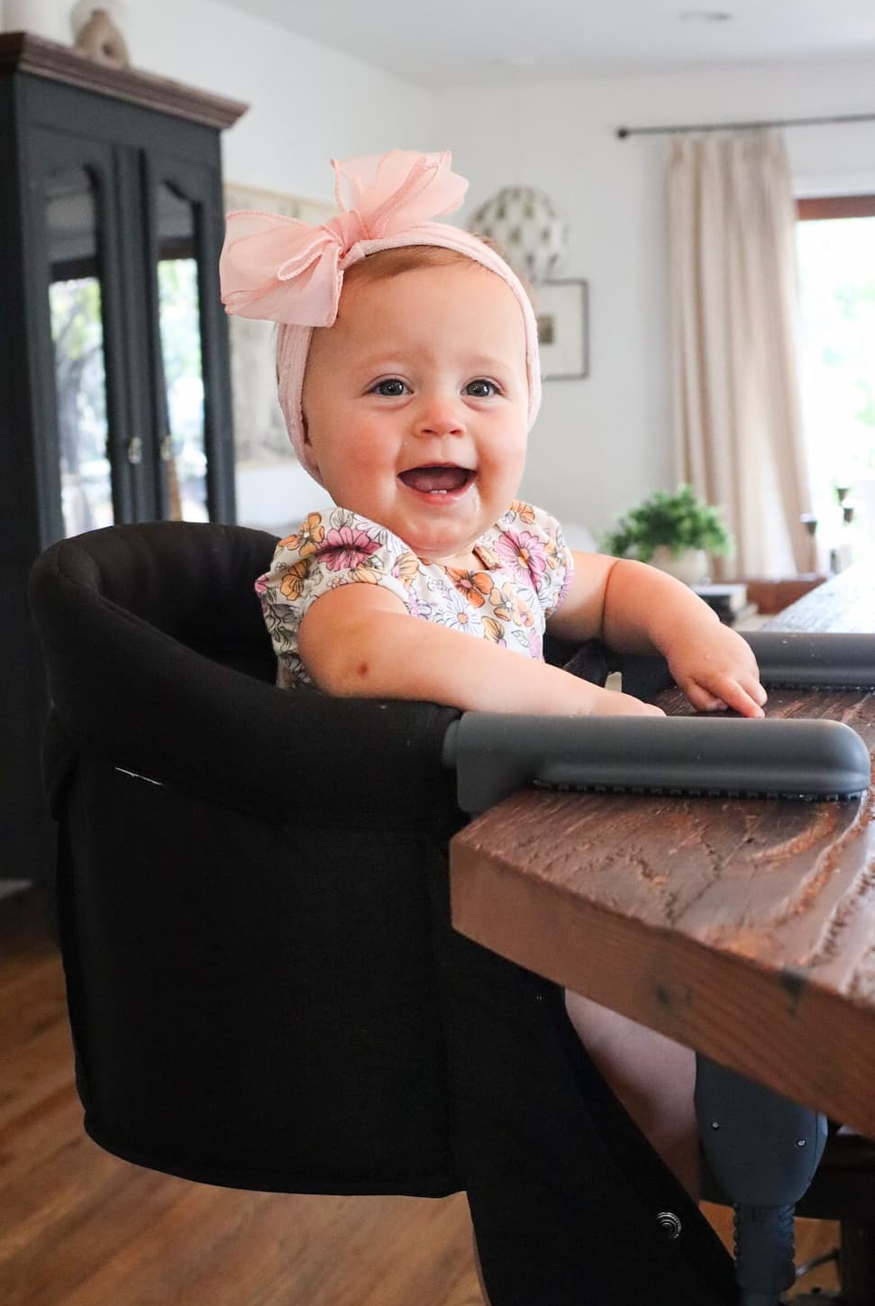 The Clip On High Chair