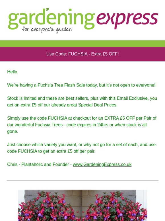 Fuchsia Tree Flash Sale - Extra £5 off just for you - Be quick to grab these best sellers! Stock is limited and going fast. . .