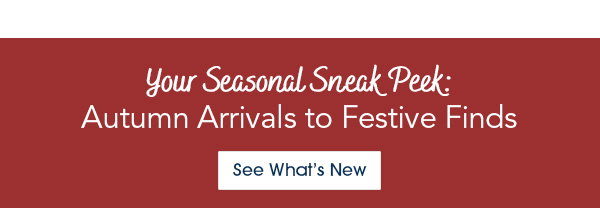 Your Seasonal Sneak Peek: Autumn Arrivals to Festive Finds See Whats New