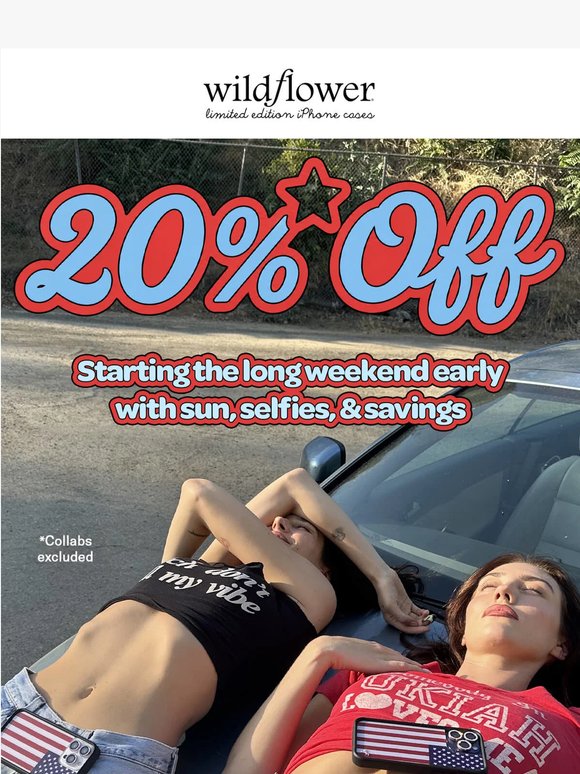 💥 20% off the entire site 💥