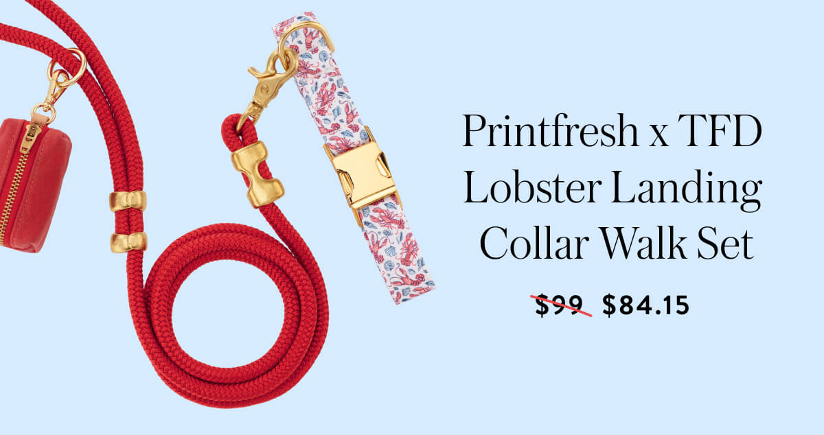 Shop Printfresh x TFD Lobster Landing Collar Walk Set