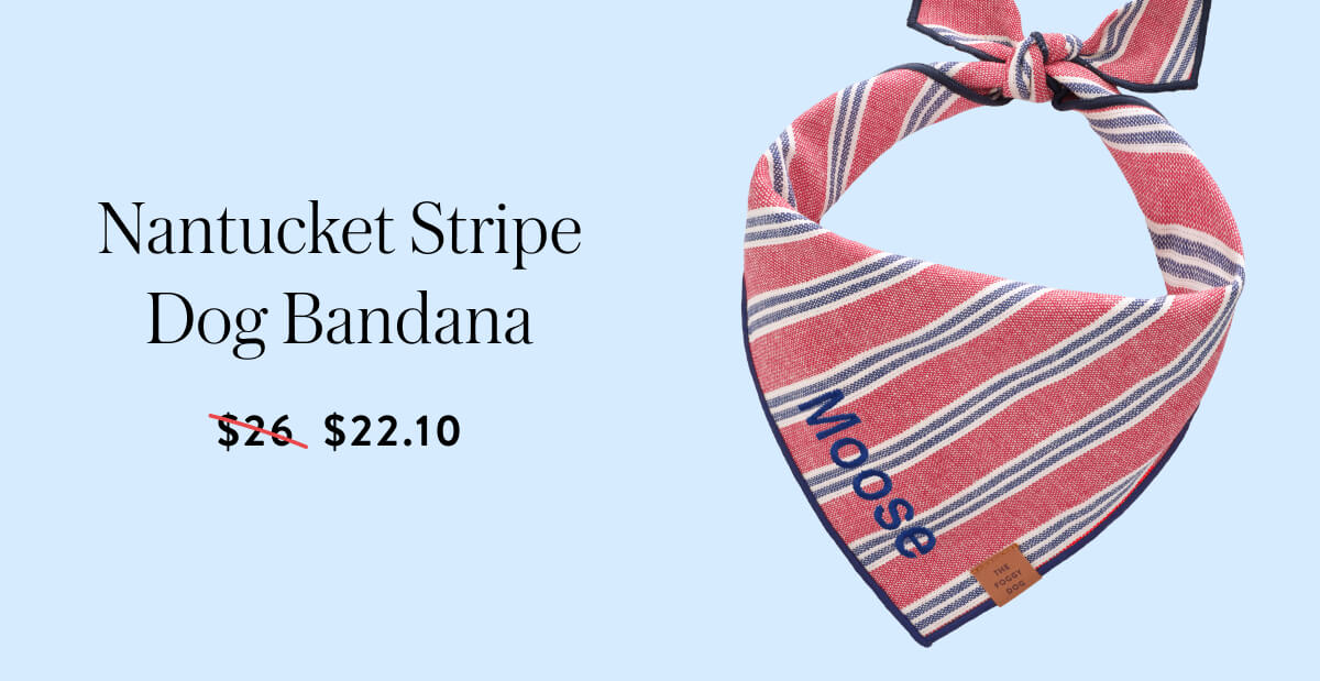 Shop Nantucket Stripe Dog Bandana