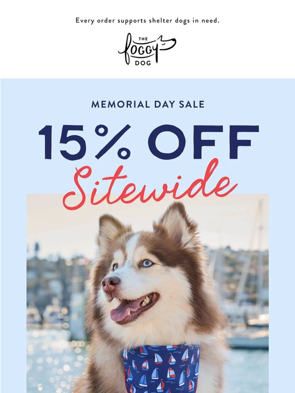 Ready, set, SALE! 🌊