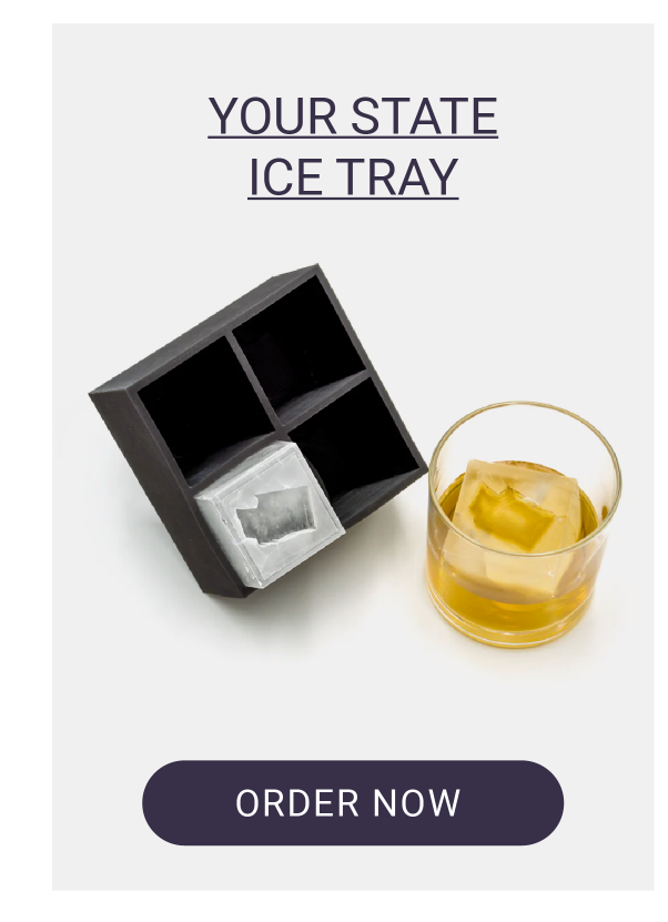 YOUR STATE ICE TRAY
