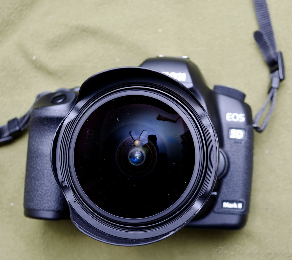 Are Fisheye Lenses Reclaiming Their Place in Photography?