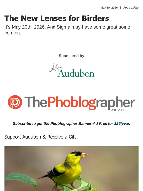 The New Lenses for Birders