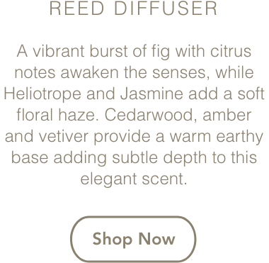 Pure Diffuser