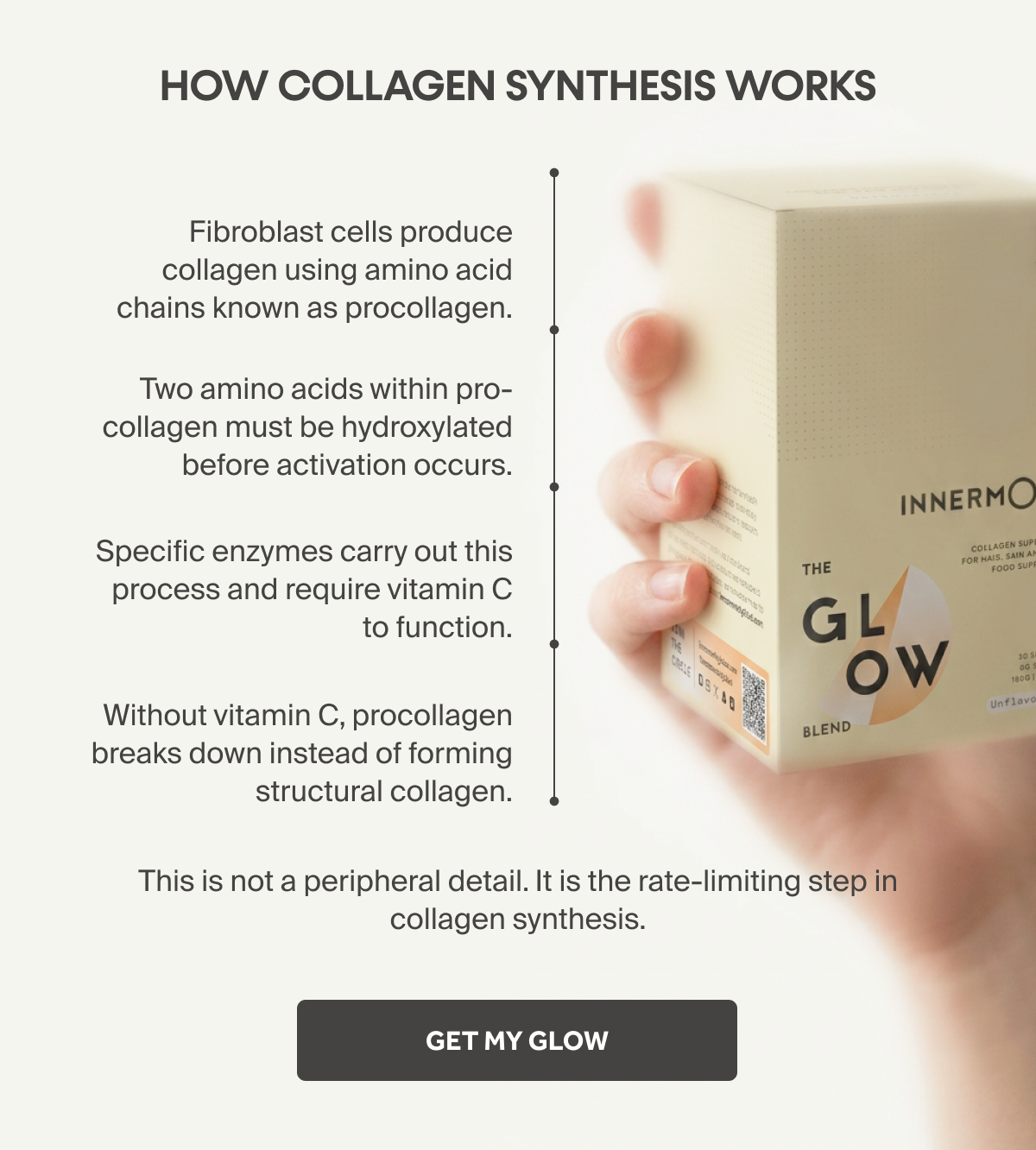 How Collagen Synthesis Works