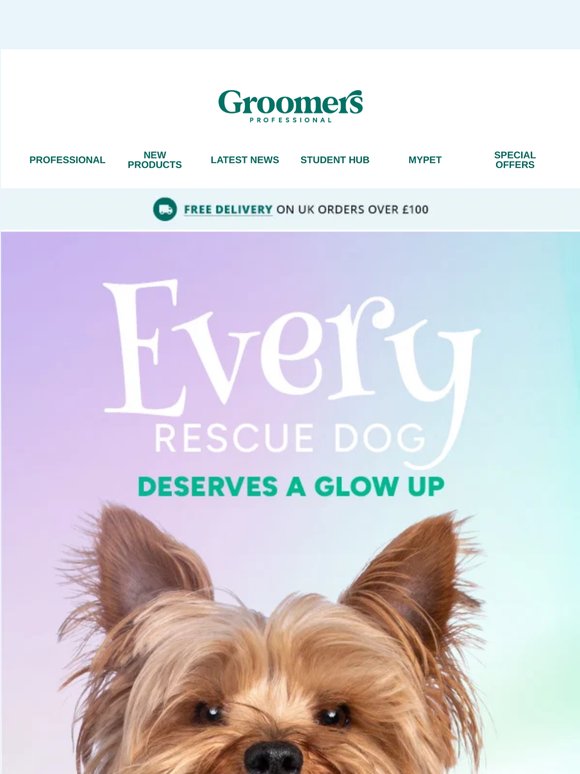 Every rescue dog deserves a Glow Up! 🌟