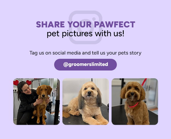 Share Your Pawfect Pet Pictured with Us! 