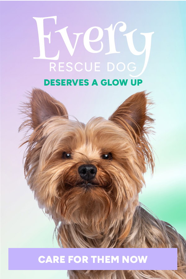 Shop Bathing Products for Pet Rescue Parents