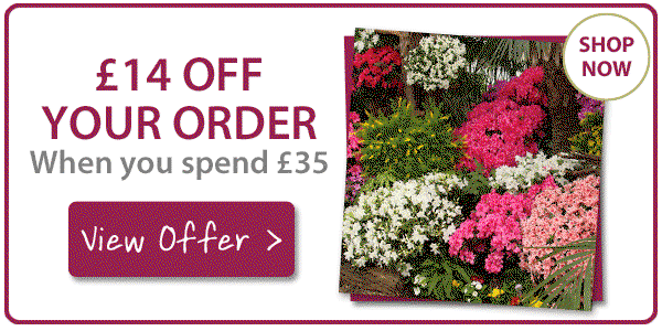 £14 OFF your order!