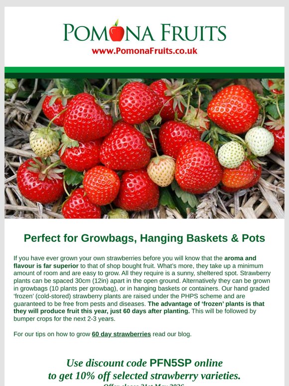 10% off selected strawberry plants 🍓