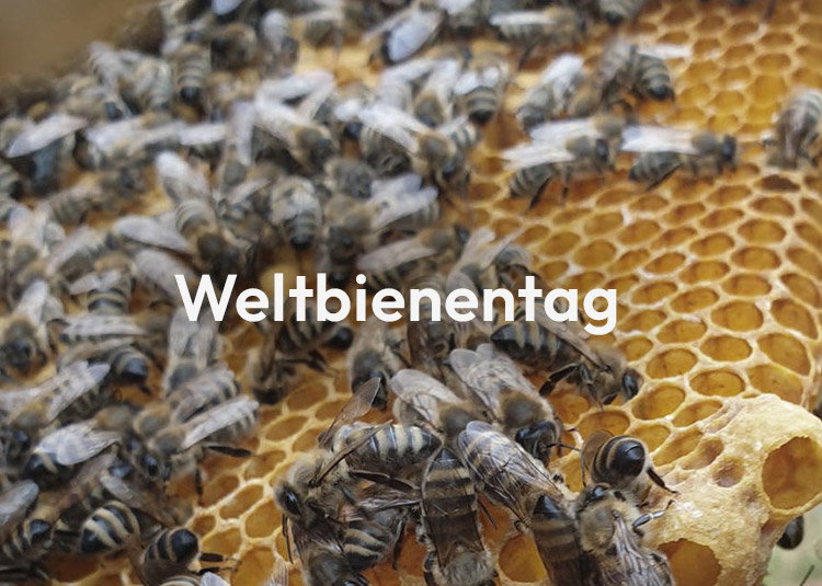 Weltbienentag