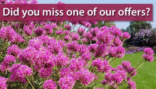 Did you miss one of our special offers!